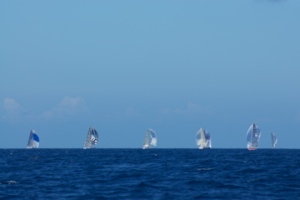 spinnakers on the horizon
